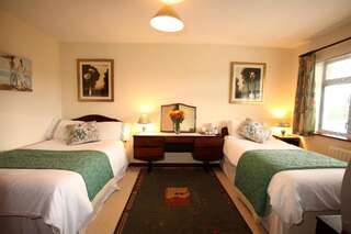 Отели типа «постель и завтрак» Doogarry House B&B Каслбар Двухместный номер Делюкс с 2 отдельными кроватями-3